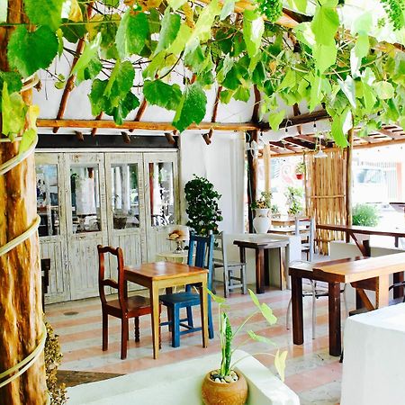 Posada Amor Hotel Boutique ปัวร์โตโมเรลอส ภายนอก รูปภาพ
