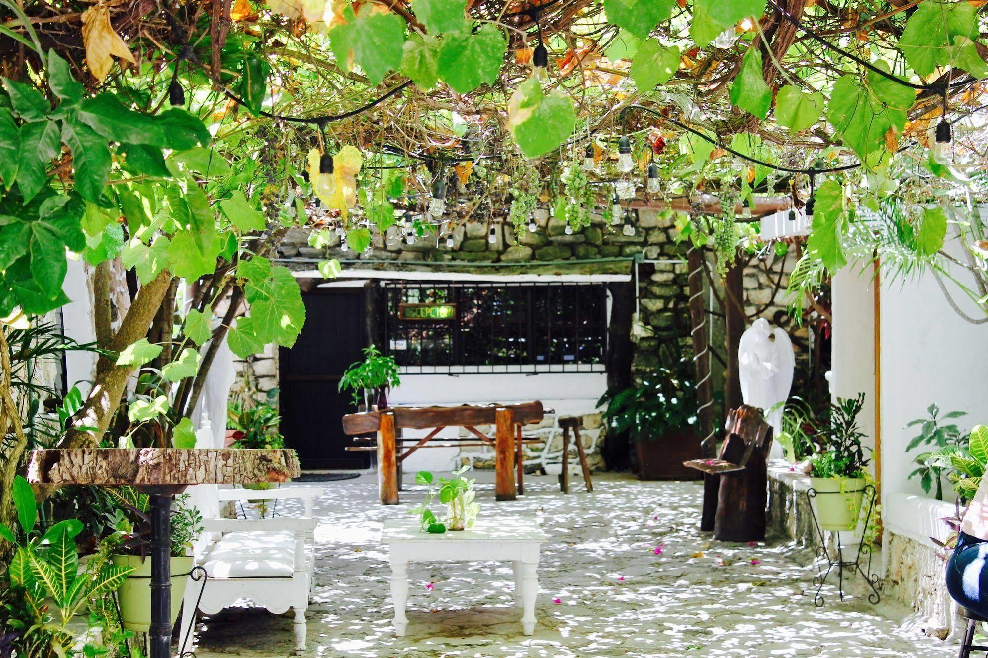 Posada Amor Hotel Boutique ปัวร์โตโมเรลอส ภายนอก รูปภาพ