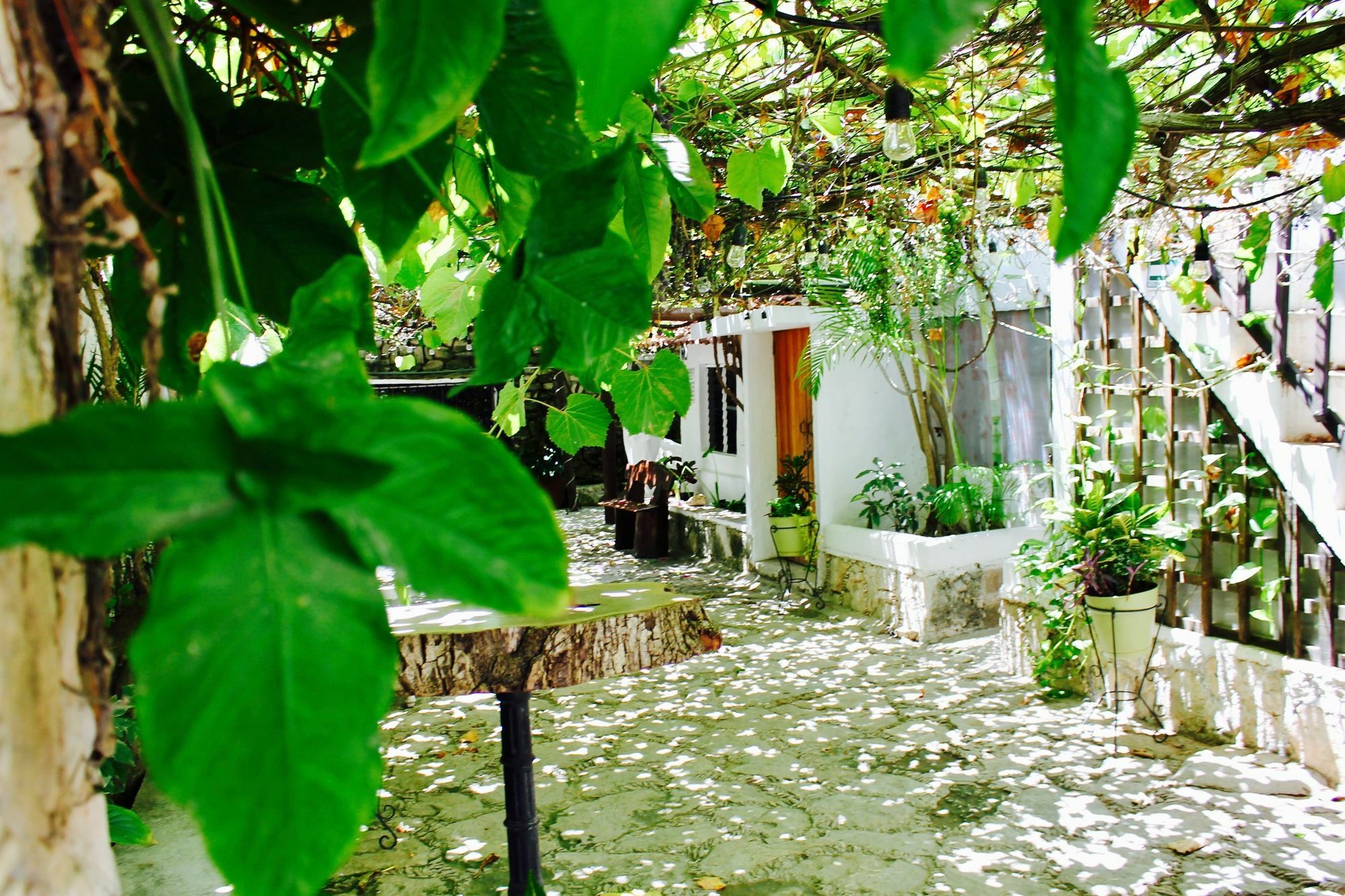 Posada Amor Hotel Boutique ปัวร์โตโมเรลอส ภายนอก รูปภาพ