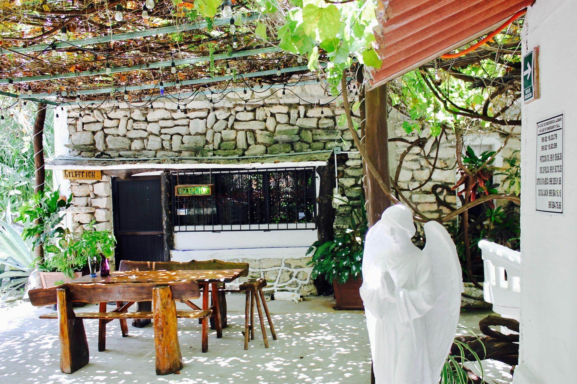 Posada Amor Hotel Boutique ปัวร์โตโมเรลอส ภายนอก รูปภาพ