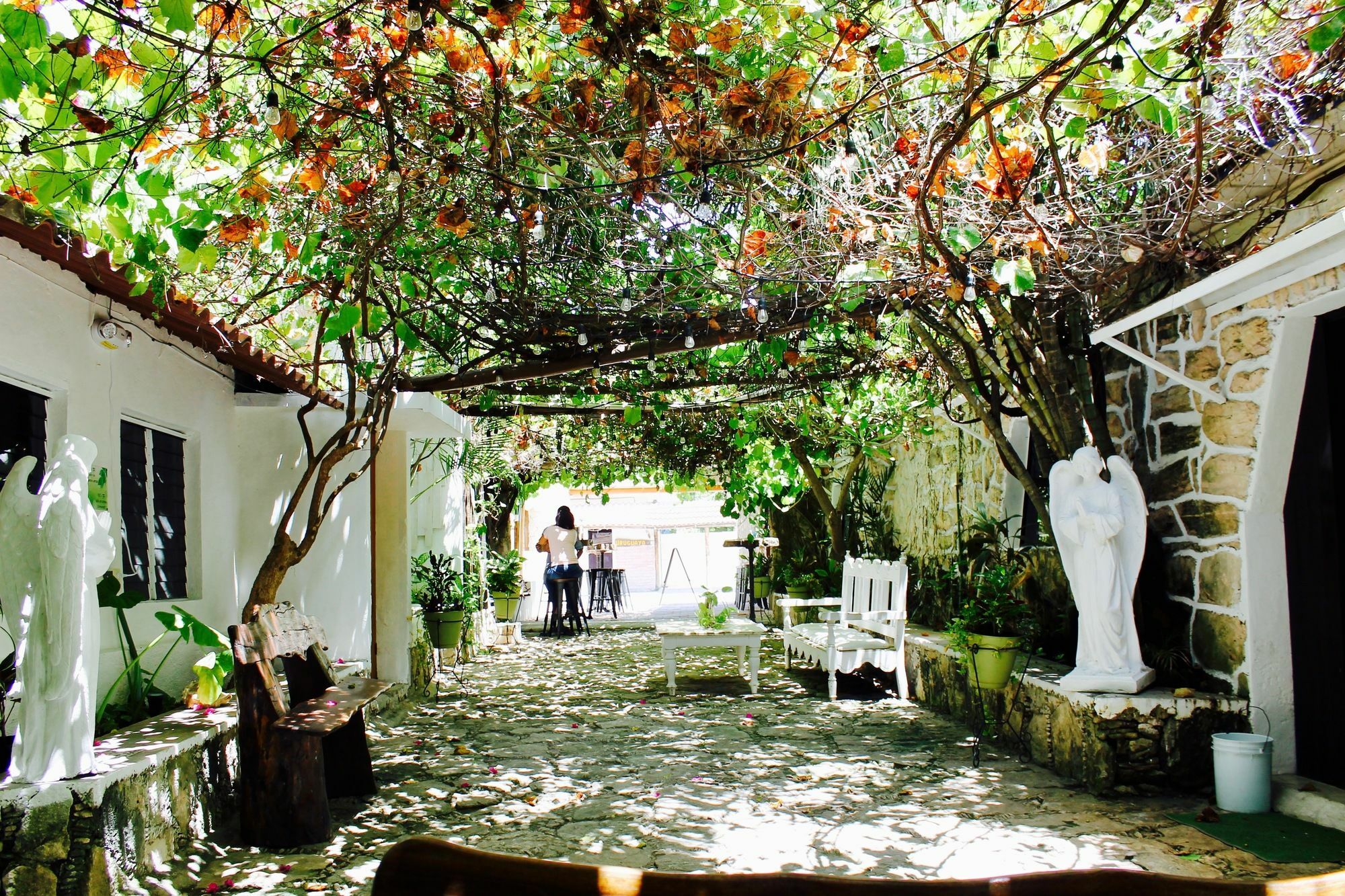 Posada Amor Hotel Boutique ปัวร์โตโมเรลอส ภายนอก รูปภาพ